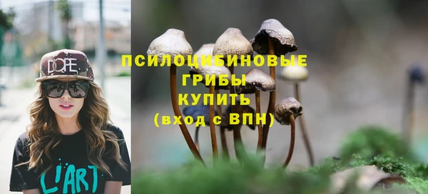 mix Алексеевка