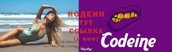 прущие грибы Кодинск