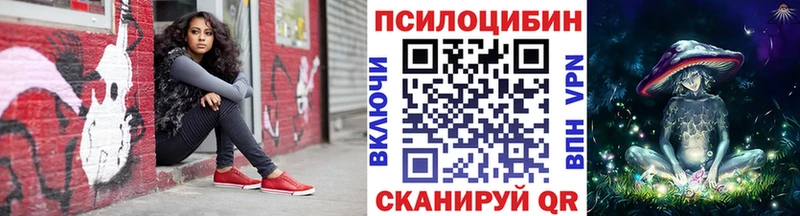 Купить где  Петропавловск-Камчатский  Галлюциногенные грибы мицелий 